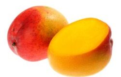 mango bf1e40d